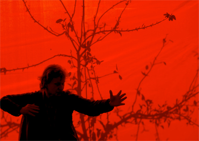 Red Telling (even smaller)-1